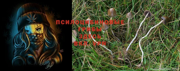 бошки Балахна