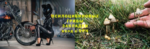 бошки Балахна