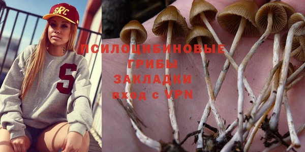 бошки Балахна