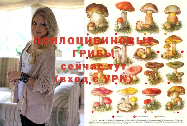 бошки Балахна
