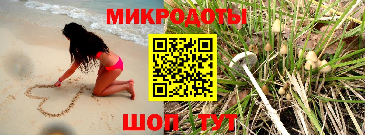 Галлюциногенные грибы Psilocybe  Галлюциногенные грибы Psilocybe  Вход с VPN  Бутурлиновка 